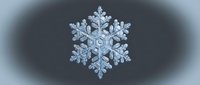 Intricate snowflake crystal with detailed hexagonal symmetry and delicate branching patterns on dark background for winter designs and seasonal projects.