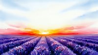 Watercolor lavender field at sunset with purple flowers in rows under dramatic orange and pink sky for relaxation and aromatherapy designs.