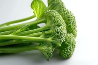 Fresh green broccoli florets with long stems on white background, macro view showing detailed texture and natural pattern of raw vegetable. Suitable for healthy eating content.