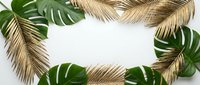 Tropical frame with golden palm leaves and green monstera foliage on white background. Natural border design for summer vacation concepts.