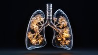 Glowing translucent human lungs with illuminated bronchial tree structure against black background showing detailed respiratory system anatomy in artistic visualization.