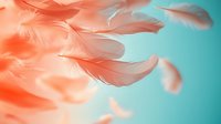 Delicate coral pink feathers floating against turquoise background create dreamy ethereal mood. Soft focus macro photography captures gentle movement and light.