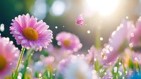 Pink daisy flower in morning sunlight with butterfly and bokeh effect, soft dreamy atmosphere creates magical garden scene. Ideal for spring nature backgrounds.