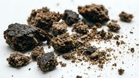 Scattered soil and dirt particles isolated on white background, suitable for design projects, educational materials, and environmental graphics.
