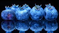 Fresh blue blueberries with water droplets on dark reflective surface. Healthy organic fruit for nutrition, diet, wellness concepts and culinary designs.