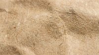 Fine golden sand texture with natural ripples and waves formed by wind, creating organic patterns and shadows for backgrounds and design projects.