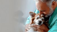 Senior veterinarian examining small dog during medical checkup at animal clinic. Professional healthcare for pets showing compassionate care and treatment.