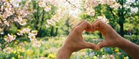 Hands forming a heart shape against a blooming spring garden with cherry blossoms and green trees in soft sunlight.