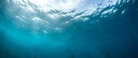 Underwater ocean scene with sunlight rays penetrating through crystal clear blue water surface creating peaceful aquatic environment for marine backgrounds.