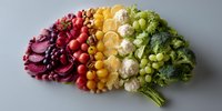 Creative brain made from colorful fresh vegetables and fruits arranged in rainbow pattern on white background for healthy eating concept.