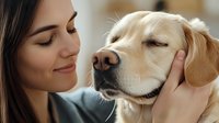 Young woman with long dark hair sharing tender moment with golden retriever dog, petting and caressing pet's face in warm natural lighting, expressing love and bond.
