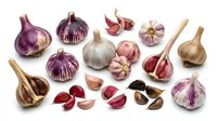 Assorted garlic bulbs and cloves in purple, white and red varieties isolated on white background for culinary design projects.