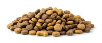 Pile of brown dry pet food kibble isolated on white background for animal nutrition and feeding concepts.