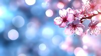 Pink cherry blossom flowers with soft bokeh lights background creating dreamy spring atmosphere for seasonal designs and nature themes.