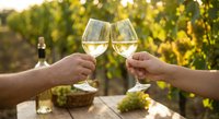 Two hands toasting with white wine glasses at vineyard during golden hour sunset with grape vines and bokeh background for celebration concepts.