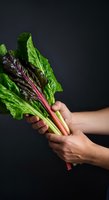 Male hands holding fresh chard with vibrant green leaves and pink stems against dark background. Suitable for healthy eating, organic produce, cooking, nutrition, and farm-to-table concepts.