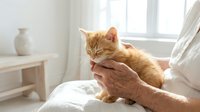 Senior woman holding ginger tabby kitten on bed in bright bedroom with white decor, showing affection and bonding moment between elderly person and young pet.