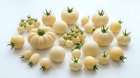 Fresh white cherry tomatoes with green stems arranged on white background, isolated produce for culinary, recipe, and food styling projects.