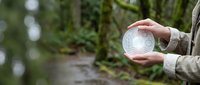 Person holding crystal sphere in forest with moss-covered trees and natural woodland background, suitable for spirituality, nature, and mystical concepts.