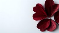 Deep red paper heart shapes arranged in clover formation on white background, minimalist romantic composition for valentines day cards and love messages.
