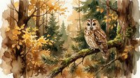 Watercolor owl perched on pine branch in autumn forest with golden leaves and warm sunlight filtering through trees creating peaceful woodland scene.