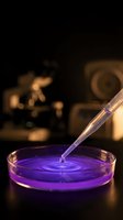 Laboratory pipette dropping purple liquid into petri dish with microscope in background for scientific research and chemical analysis experiments.