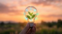 Green plant growing inside transparent light bulb held against sunset sky representing eco-friendly renewable energy and sustainable innovation concepts.