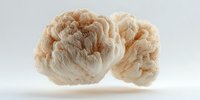 Natural organic sponge with layered texture and cream-beige color isolated on white background, useful for skincare, bath accessories, and spa treatments.