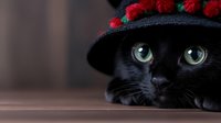 Black cat wearing decorative hat with red pom-poms peeks into frame, bright green eyes gazing upward, creating whimsical holiday mood against blurred background.