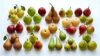 Assorted fresh apples and pears arranged on white background, isolated fruits ready for culinary, nutritional, and design projects.
