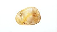 Isolated raw potato with golden-brown skin on white background, suitable for food packaging, culinary design, and restaurant menus.
