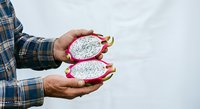 Male farmer holding two halves of fresh dragon fruit with white flesh and small black seeds, wearing blue plaid shirt, isolated on white background for agricultural and food industry use.