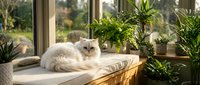 Fluffy white cat relaxing on sunny windowsill surrounded by potted green plants, perfect for home decor, pet lifestyle, and interior design projects.