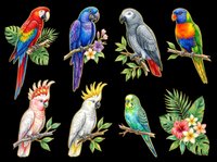 Colorful parrot collection featuring macaws, cockatoos, and parakeets with tropical foliage. Isolated on transparent background, ready for t-shirts, clipart, stickers, and print-on-demand designs.