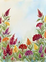 Watercolor celosia garden border with vibrant red, purple, orange and yellow blooms framing soft sky background, copy space for text.