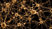 Golden neural network connections with synapses firing in brain tissue showing interconnected pathways for medical and scientific research applications.
