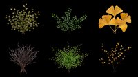 Six botanical plant elements isolated on transparent background, including leafy shrubs, ginkgo leaves, bare branches, and budding twigs, ready for clipart and t-shirt design.