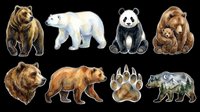 Watercolor bear clipart set with grizzly, polar bear, panda, mother and cub, brown bear, paw print, and nature silhouette, isolated on transparent background, ready for t-shirt design and print on demand.