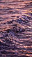Ocean waves with golden sunset reflections creating purple and pink hues on water surface for peaceful seascape backgrounds and meditation content.