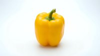 Fresh yellow bell pepper with green stem isolated on white background for food, cooking, nutrition, and healthy eating concepts.