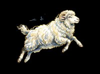 Cream and gray goat leaping mid-air with flowing wool, isolated on transparent background. Ready for t-shirt designs, clipart, stickers, print-on-demand products, and sublimation projects.