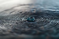 Macro photography of water drop impact creating concentric ripples on dark water surface with soft focus background, showing liquid dynamics and wave patterns.