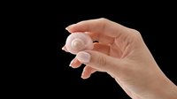 Female hand holding a small spiral seashell, isolated on transparent background. Ready for stickers, t-shirt design, print on demand, clipart, and sublimation projects.