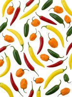 Colorful assorted chili peppers and habaneros scattered on white background. Seamless pattern tiles for wallpaper, fabric, packaging, and culinary design projects.