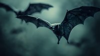 Flying bat with spread wings against moody dark green sky, dramatic silhouette creating mysterious and spooky atmosphere for Halloween and nature wildlife designs.