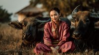 Young Asian woman in traditional red embroidered dress sitting peacefully with water buffalo in rural countryside setting during golden hour sunset.