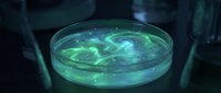 Glowing green magical potion swirling in glass laboratory dish with mystical energy effects for fantasy gaming and supernatural storytelling concepts.