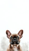 Adorable French Bulldog puppy portrait with large expressive eyes and distinctive bat ears against white background, watercolor style art for nursery decor.
