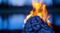 Burning wooden log with bright orange flames and glowing embers against blurred twilight background, suitable for campfire, fireplace, and outdoor heating concepts.
