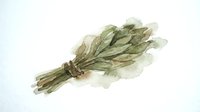 Dried herb bundle tied with twine on white background, isolated botanical element for culinary, wellness, and design projects.